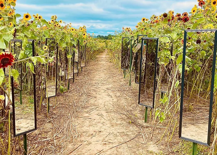 Rendelman Orchard's Farm *