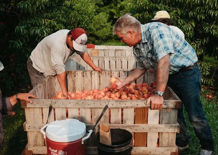 Rendelman Orchard's Farm *