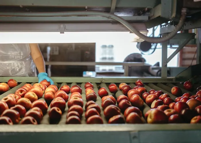 Rendelman Orchard's Farm Landhaus Alto Pass
