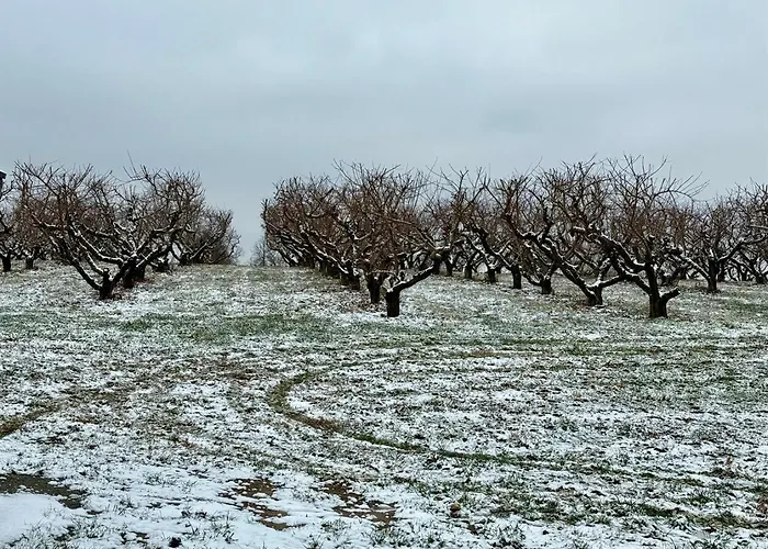 Rendelman Orchard's Farm Landhaus Alto Pass